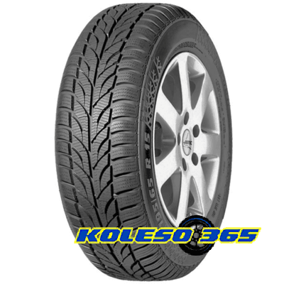 Paxaro Winter 175/70 R14 84T