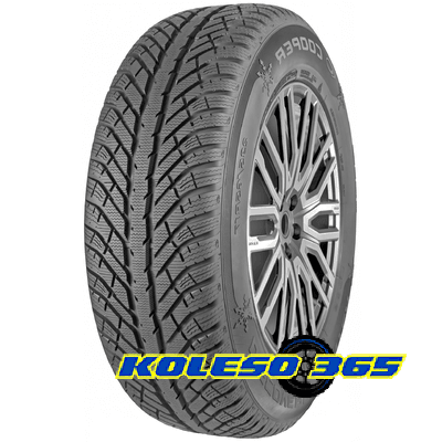 Cooper Discoverer Winter 205/55 R17 95V XL